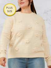 Load image into Gallery viewer, PLUS] Hadley Tonal Whimsy Pullover
